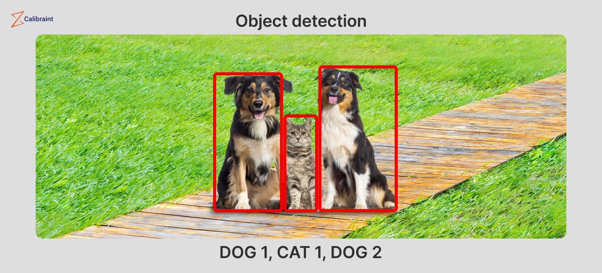 Object Recognition: How ML & Deep Learning Work Together image.